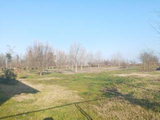 Terreno agricolo in vendita a olevano di lomellina sp57