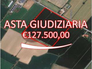 Terreno agricolo all'asta a guidizzolo via marchionale, snc