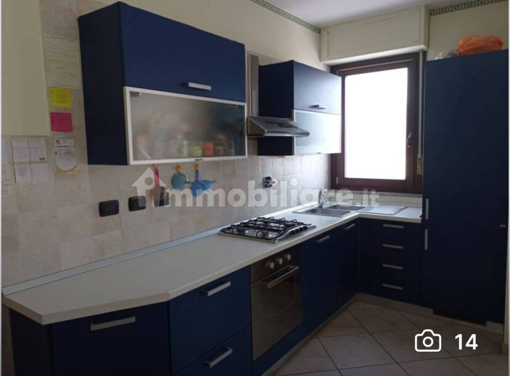 immagine annuncio 2 di 12