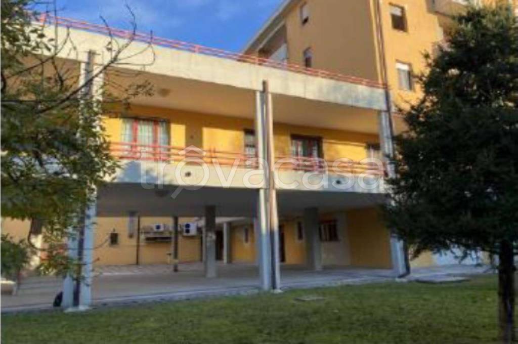 immagine annuncio 2 di 13