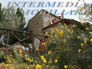 Casa indipendente in vendita a gaiole in chianti località starda