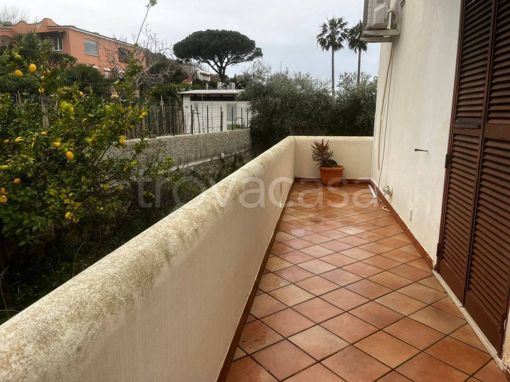 immagine annuncio 10 di 14