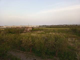 Terreno agricolo in vendita a villapiana via santa maria del monte