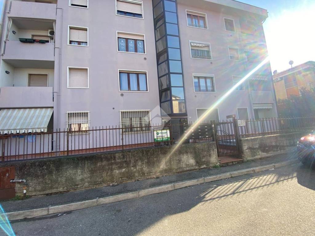 immagine annuncio 13 di 15