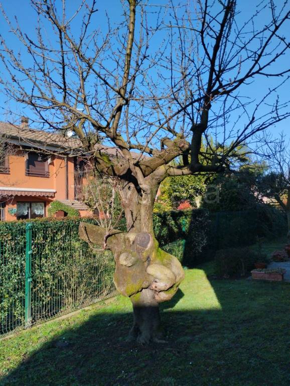 immagine annuncio 8 di 9