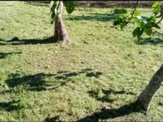 Terreno agricolo in vendita a torretta via pablo neruda