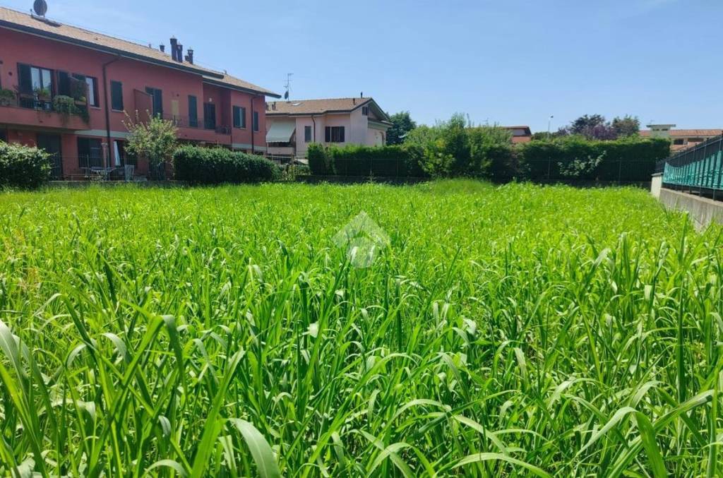 immagine annuncio 3 di 7