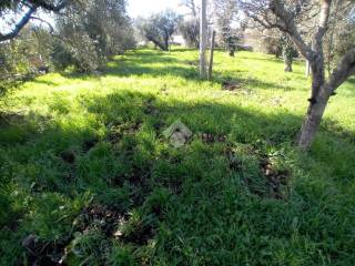 Terreno residenziale in vendita a terni strada del cerqueto