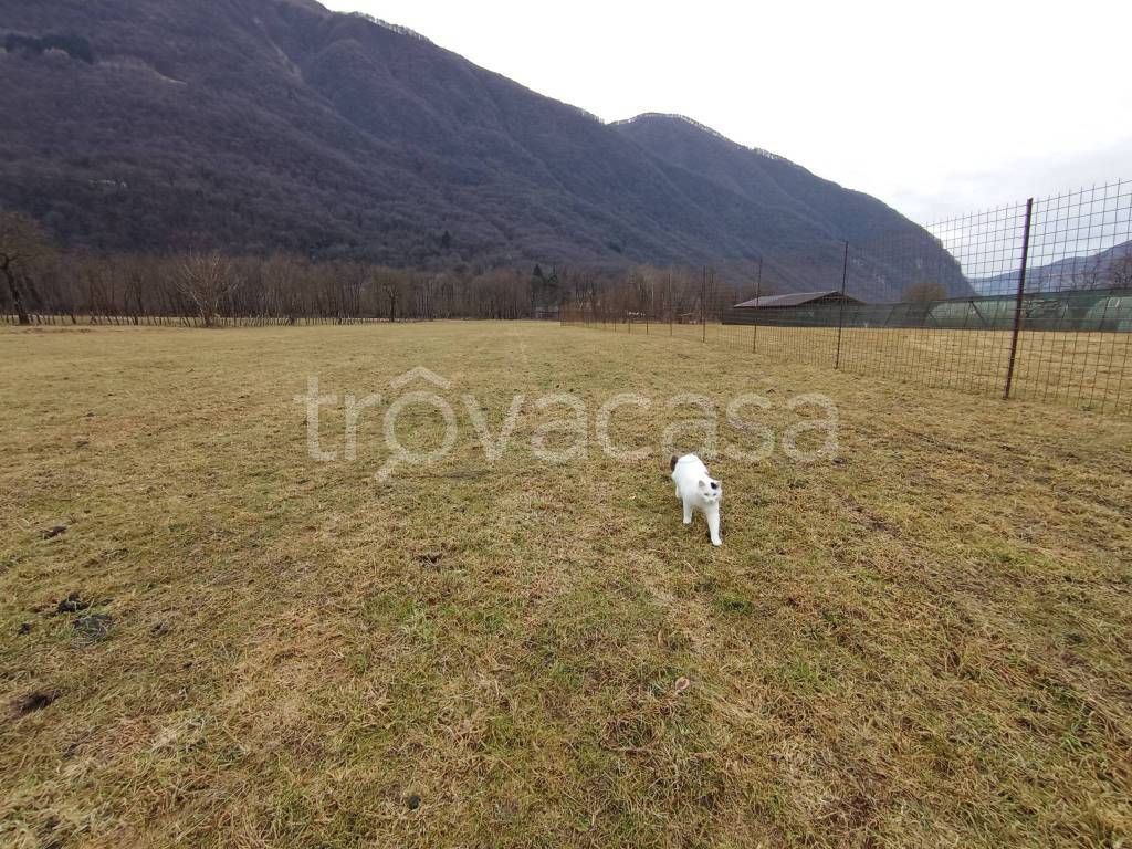 immagine annuncio 10 di 13