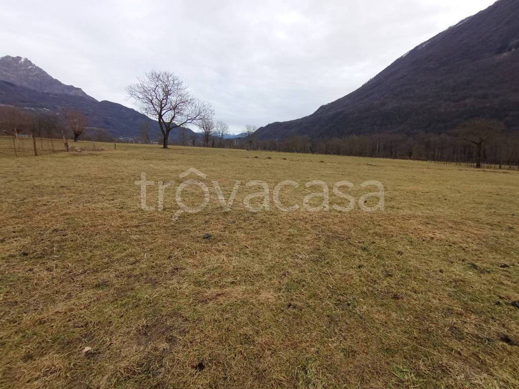 immagine annuncio 11 di 13