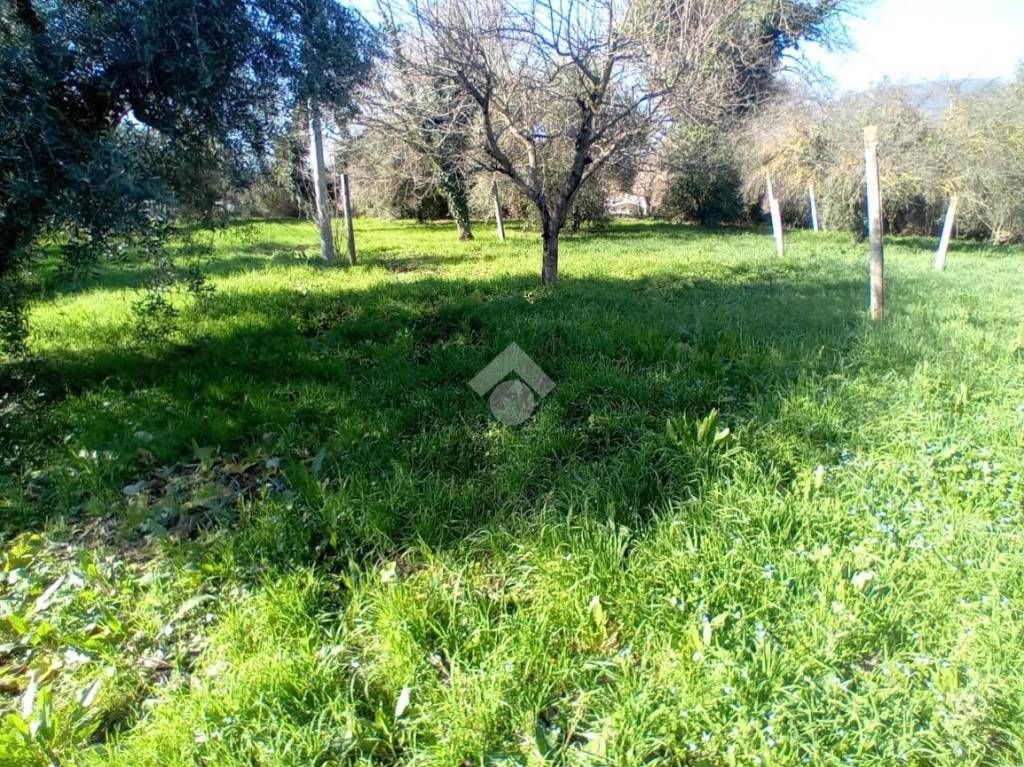 immagine annuncio 2 di 8
