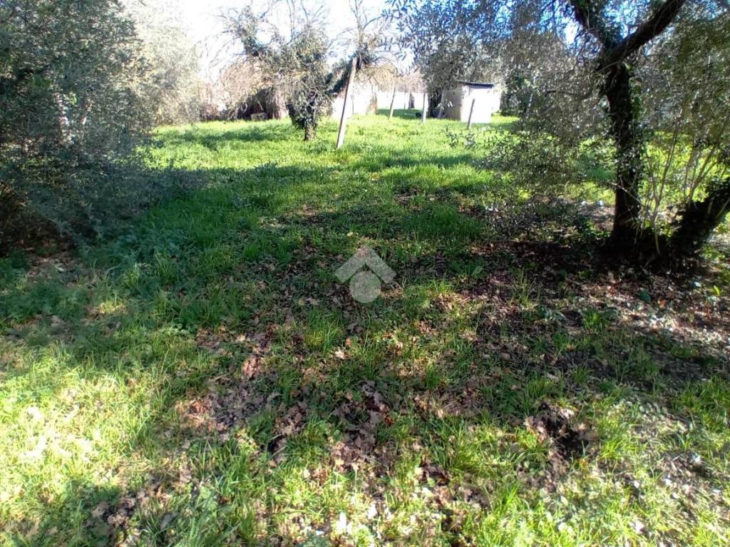 immagine annuncio 4 di 8