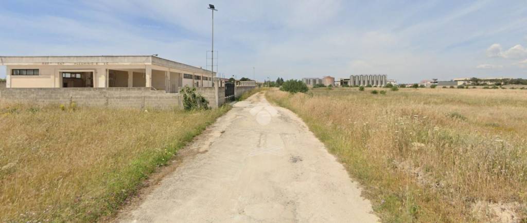 immagine annuncio 2 di 6