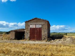 Terreno agricolo in vendita a pitigliano localitã  pantano