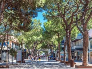 Negozio in affitto a riccione viale maria ceccarini