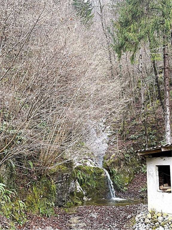 immagine annuncio 6 di 8