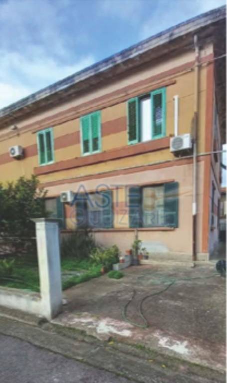 immagine annuncio 3 di 12