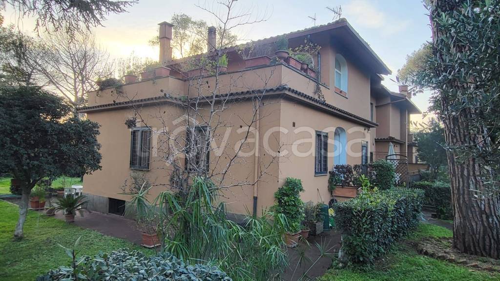 immagine annuncio 3 di 12