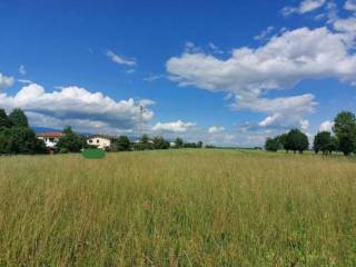 Terreno agricolo all'asta a malo via cà bianca