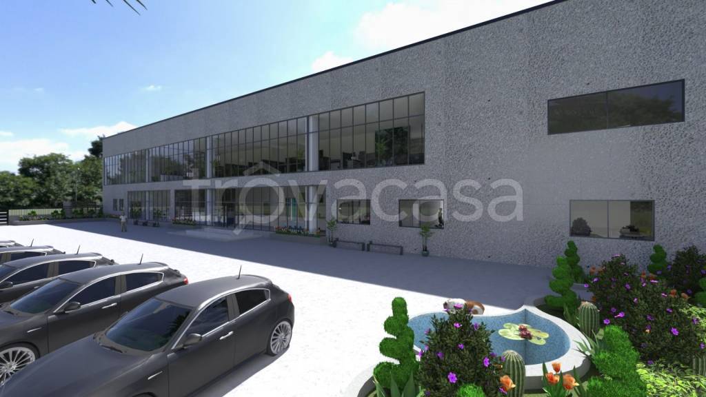 immagine annuncio 9 di 13