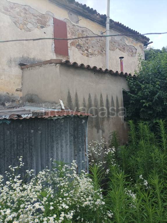 immagine annuncio 9 di 14