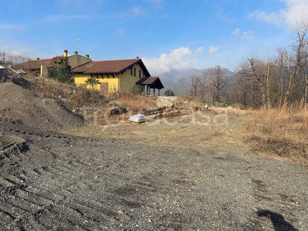 immagine annuncio 2 di 11