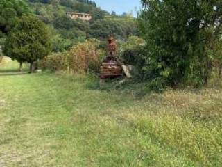 Terreno agricolo all'asta a coccaglio via v. emanuele