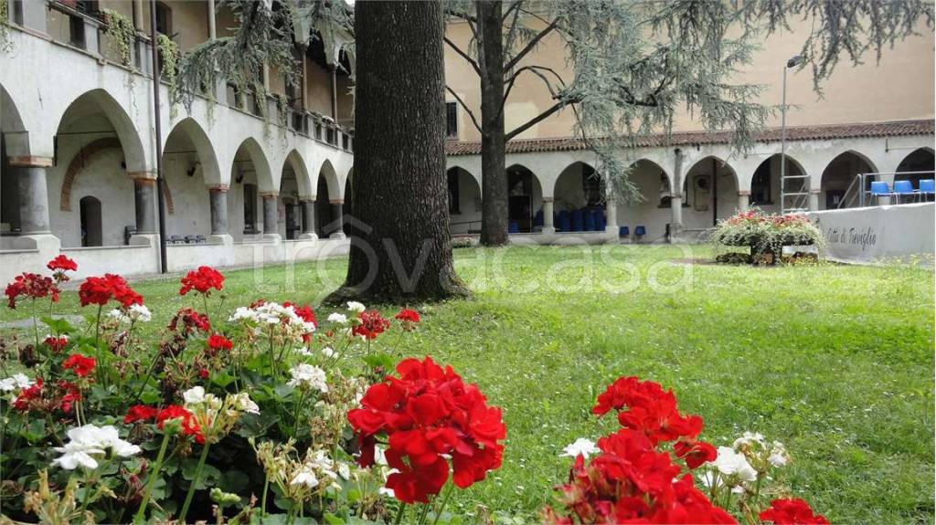 immagine annuncio 3 di 14