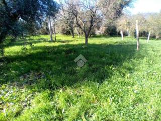 Terreno residenziale in vendita a terni strada del cerqueto