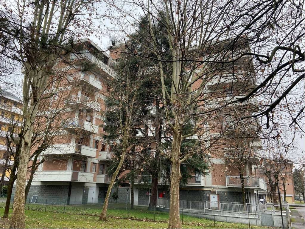 immagine annuncio 14 di 15
