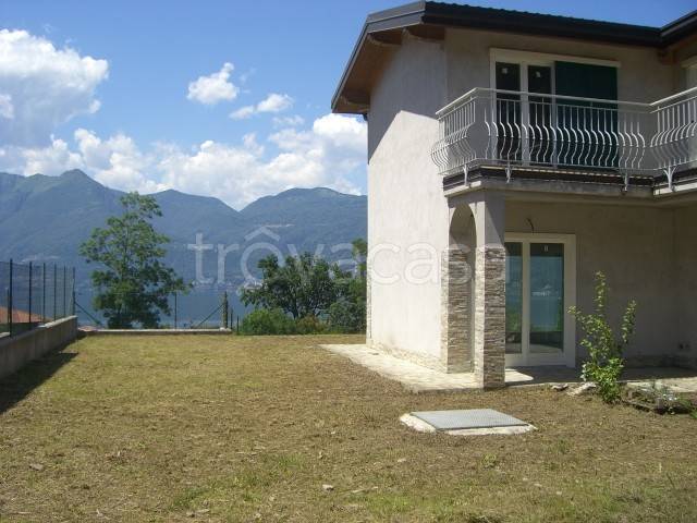 immagine annuncio 5 di 8