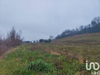 Terreno agricolo in vendita a montefiore dell'aso strada san giovanni