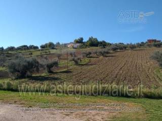 Terreno agricolo all'asta a castiglione messer raimondo contrada piani