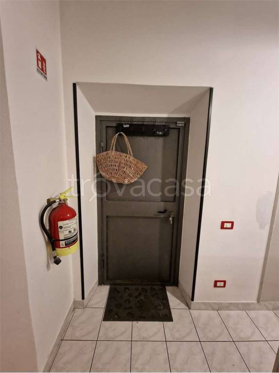 immagine annuncio 10 di 14