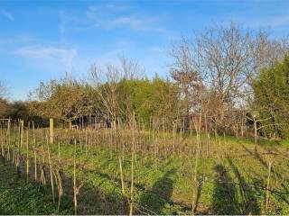 Terreno agricolo in vendita a piscina strada comunale da scalenghe a bruera