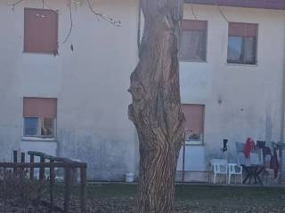 Villa a schiera in vendita a vajont viale ss. gervasio e protasio