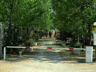 Terreno residenziale in vendita a vasto via strada statale 16