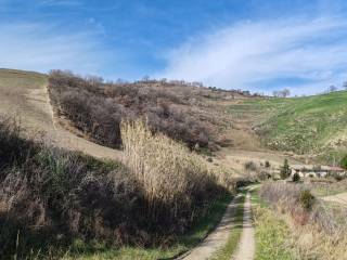 Terreno agricolo in vendita a torre de' passeri 