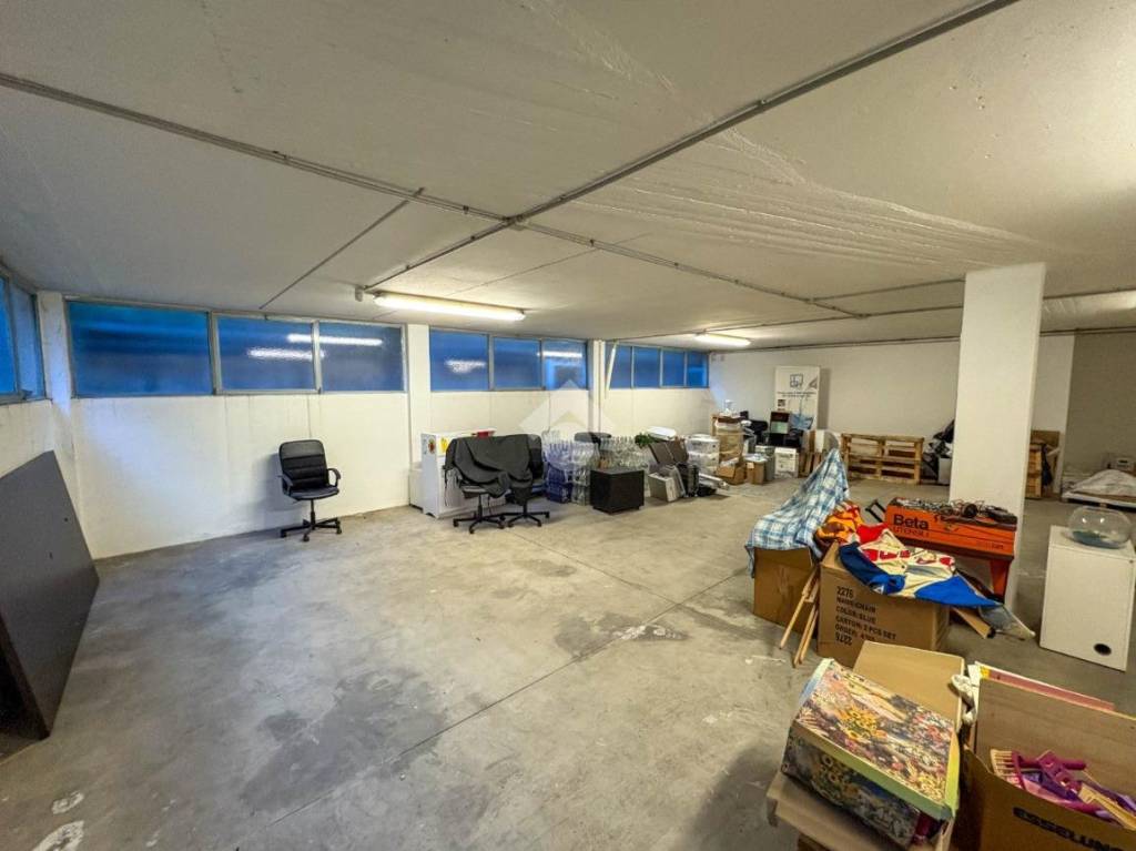 immagine annuncio 11 di 15