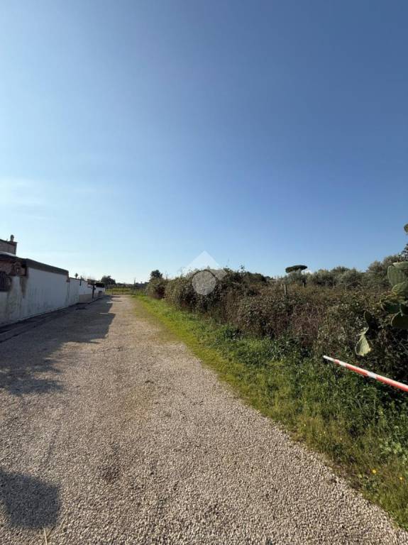 immagine annuncio 1 di 6