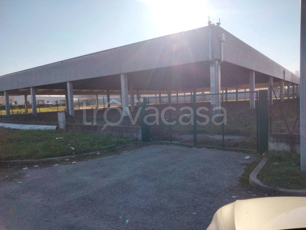 immagine annuncio 1 di 2