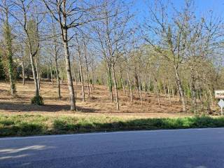 Terreno agricolo in vendita a mogliano contrada acquevive, 20