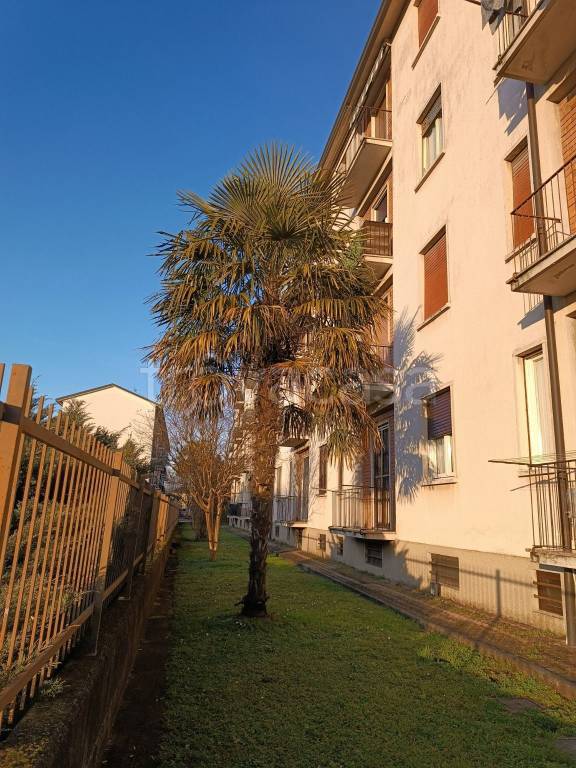 immagine annuncio 3 di 14
