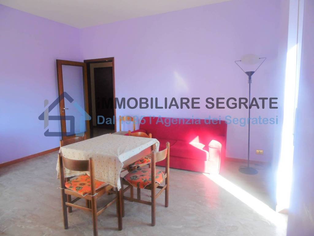immagine annuncio 4 di 8