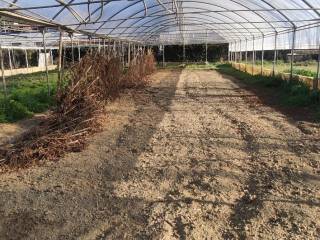 Terreno agricolo in vendita a firenze via dell'argin grosso