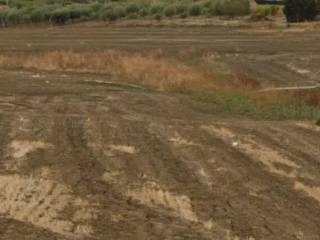 Terreno agricolo in vendita a campobello di licata 