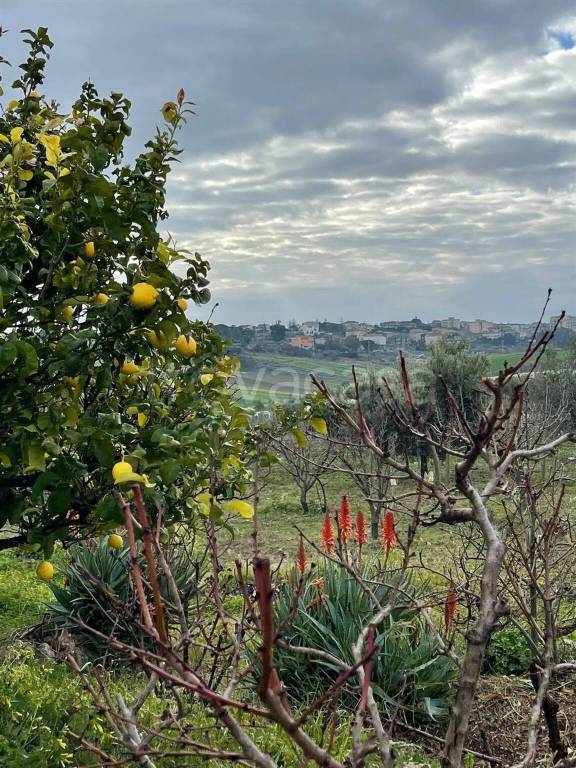 immagine annuncio 4 di 8