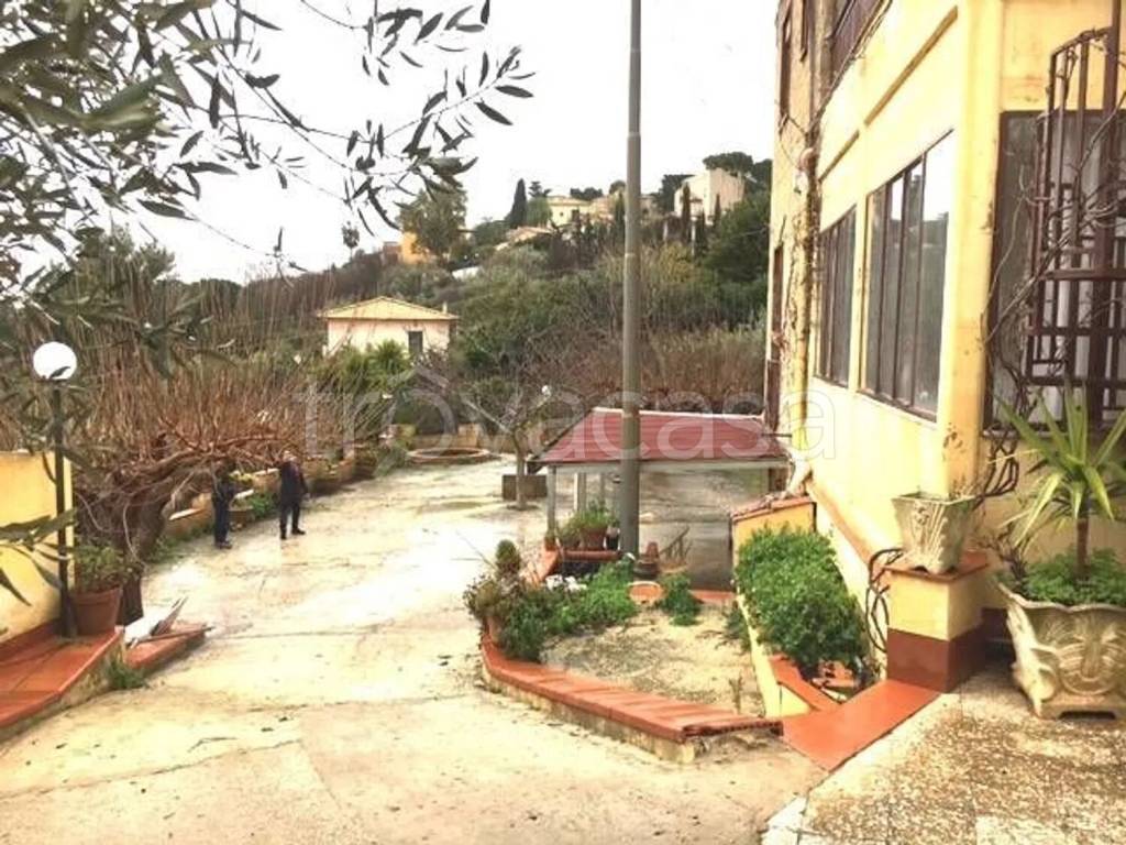 immagine annuncio 3 di 14