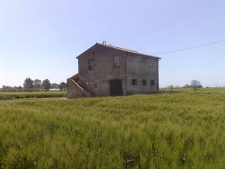 Colonica in in vendita da privato a ladispoli via delle carciofete, 4