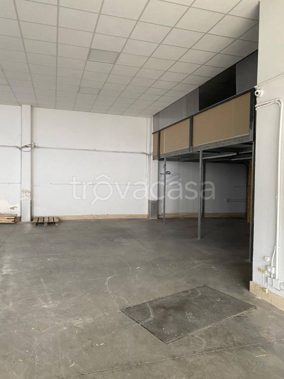 immagine annuncio 4 di 11